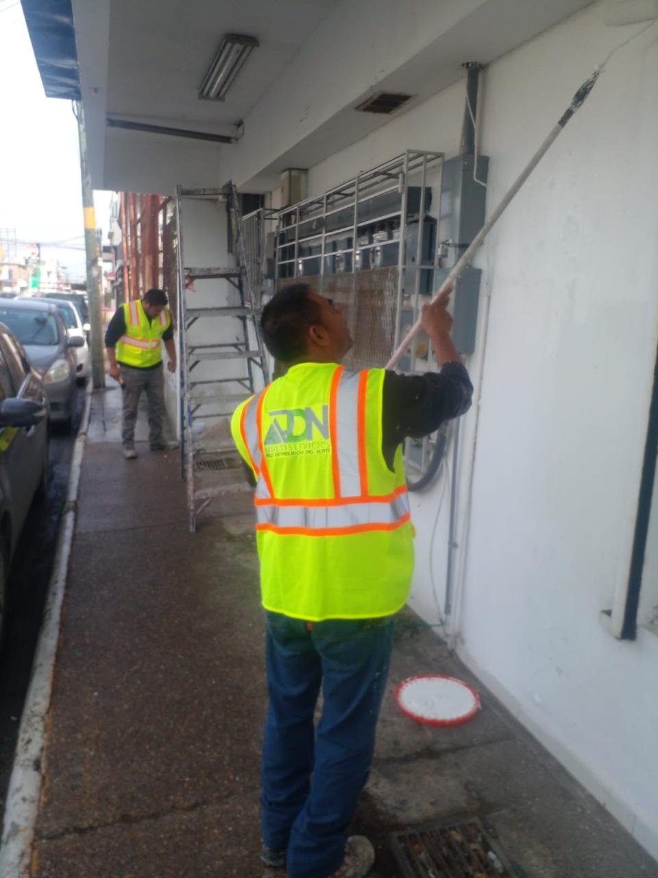 pintura